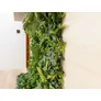 Kép 8/9 - GreenWall Mesterséges Növényfal Panel, 1 m² (Exotic) | Gondozásmentes Zöldfal Kültérre és Beltérre - UV-stabil