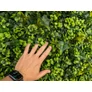 Kép 8/8 - GreenWall Mesterséges Növényfal Panel, 1 m² (Garden) | Gondozásmentes Zöldfal Kültérre és Beltérre - UV-stabil