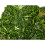 Kép 4/5 - GreenWall Mesterséges Növényfal Panel, 1 m² (Lush) | Gondozásmentes Zöldfal Kültérre és Beltérre - UV-stabil
