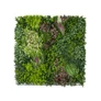 Kép 1/9 - GreenWall mesterséges növényfal panel, 1 m², UV-stabil zöldfal