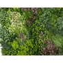 Kép 2/9 - GreenWall Mesterséges Növényfal Panel, 1 m² (Oasis-1) | Gondozásmentes Zöldfal Kültérre és Beltérre - UV-stabil