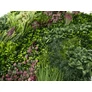 Kép 4/9 - GreenWall Mesterséges Növényfal Panel, 1 m² (Oasis-1) | Gondozásmentes Zöldfal Kültérre és Beltérre - UV-stabil