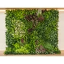 Kép 6/9 - GreenWall Mesterséges Növényfal Panel, 1 m² (Oasis-1) | Gondozásmentes Zöldfal Kültérre és Beltérre - UV-stabil