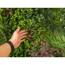 Kép 9/9 - GreenWall Mesterséges Növényfal Panel, 1 m² (Oasis-1) | Gondozásmentes Zöldfal Kültérre és Beltérre - UV-stabil