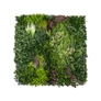 Kép 1/9 - GreenWall mesterséges növényfal panel, 1 m², UV-stabil zöldfal