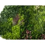 Kép 4/9 - GreenWall Mesterséges Növényfal Panel, 1 m² (Oasis-2) | Gondozásmentes Zöldfal Kültérre és Beltérre - UV-stabil