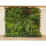 Kép 6/9 - GreenWall Mesterséges Növényfal Panel, 1 m² (Oasis-2) | Gondozásmentes Zöldfal Kültérre és Beltérre - UV-stabil
