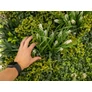Kép 8/9 - GreenWall Mesterséges Növényfal Panel, 1 m² (Oasis-2) | Gondozásmentes Zöldfal Kültérre és Beltérre - UV-stabil