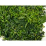 Kép 3/11 - GreenWall Mesterséges Növényfal Panel, 1 m² (Urban) | Gondozásmentes Zöldfal Kültérre és Beltérre - UV-stabil