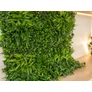 Kép 7/11 - GreenWall Mesterséges Növényfal Panel, 1 m² (Urban) | Gondozásmentes Zöldfal Kültérre és Beltérre - UV-stabil