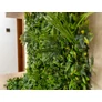 Kép 11/11 - GreenWall Mesterséges Növényfal Panel, 1 m² (Urban) | Gondozásmentes Zöldfal Kültérre és Beltérre - UV-stabil