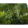Kép 2/11 - GreenWall Mesterséges Növényfal Panel, 1 m² (Zen) | Gondozásmentes Zöldfal Kültérre és Beltérre - UV-stabil