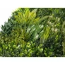 Kép 4/11 - GreenWall Mesterséges Növényfal Panel, 1 m² (Zen) | Gondozásmentes Zöldfal Kültérre és Beltérre - UV-stabil