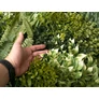 Kép 6/11 - GreenWall Mesterséges Növényfal Panel, 1 m² (Zen) | Gondozásmentes Zöldfal Kültérre és Beltérre - UV-stabil
