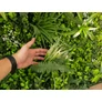 Kép 10/11 - GreenWall Mesterséges Növényfal Panel, 1 m² (Zen) | Gondozásmentes Zöldfal Kültérre és Beltérre - UV-stabil