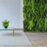 Kép 3/4 - GD117 50x100 cm prémium egyedi kézzel készített élethű műanyag növényfal panel
