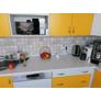 80286 bogyós növény Regul PVC falpanel