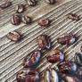 Coffee Brown - Kávészemek PVC falpanel