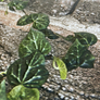 Flora - Zöld leveles PVC falpanel