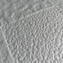 Deberecn beltéri fehér festhető hungarocell polisztirol álmennyezet